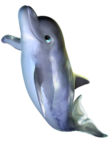 A dolphin with blue eyes and white hair.