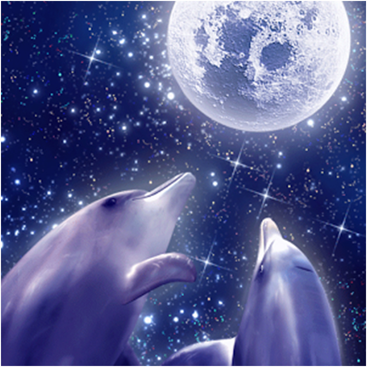 Two dolphins are looking up at the moon.