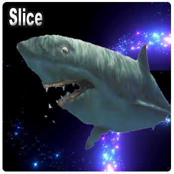 Slice