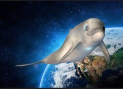 A dolphin is flying over the earth.